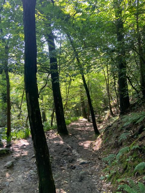 Hike Ulia San Sebastian: El Camino De Santiago (The Way)