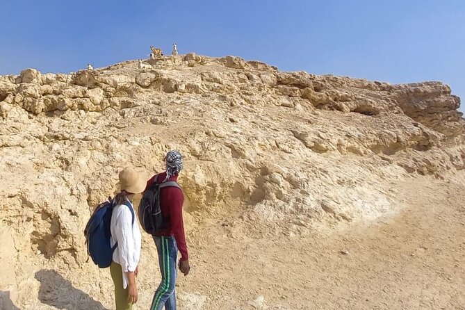 Hiking Adventure in the Heart of Cairo - Good To Know