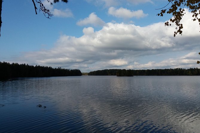 Hiking Around Forest and Lake - Good To Know
