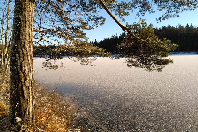 Hiking Experience in a National Park With Backpacker Helsinki Tour