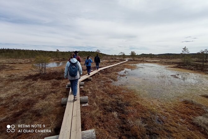 Hiking Experience in Torronsuo National Park With Backpacker Helsinki Tour - Good To Know