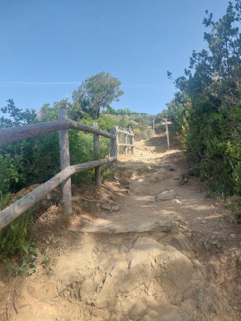 Hiking in the Cinque Terre From Riomaggiore to Manarola