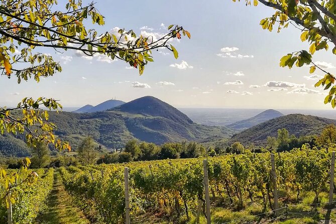 Hiking in the Euganean Hills