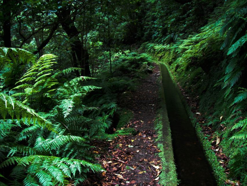 Hiking Levadas of Madeira: Levada Do Rei - Booking Details
