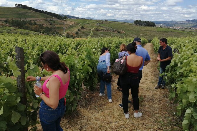 Hiking Through Douro Valley Wine Region