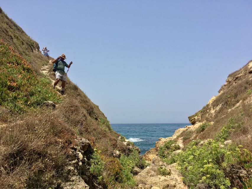 Hiking Tour Along the West Coastline - Good To Know