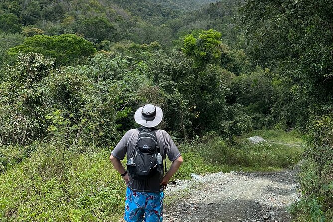 Hiking Tour and Play in Charco El Pilon - Tour Highlights