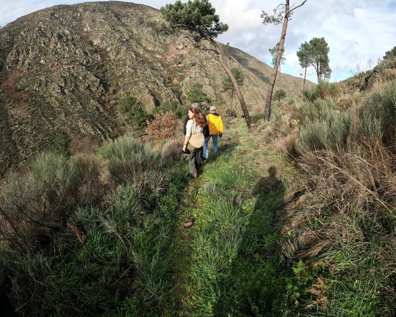 Hiking Tour at Estrela Mountains Wood Paths - Good To Know