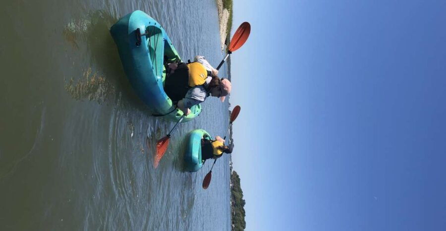 Hilton Head Island: 1.5-Hour Guided Small-Group Kayak Tour - Good To Know