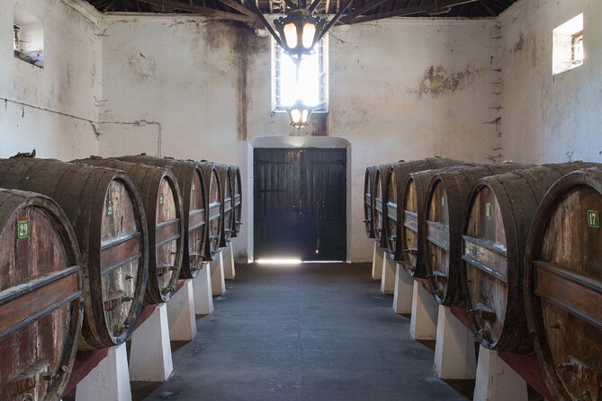 Historic Winery Tour and Tasting in Bombarral - Good To Know