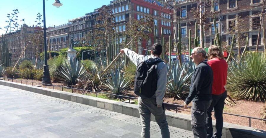 Historical and Culinary Tour of Mexico City