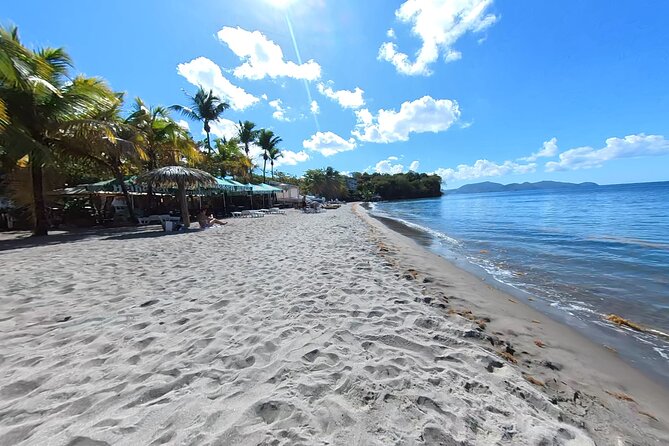 Historical and Panoramic Tour Along Caribbean Coast and in Tropical Forest