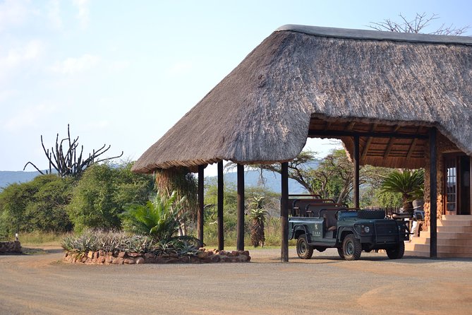 Hluhluwe Big 5 Day Tour From Durban - Tour Highlights