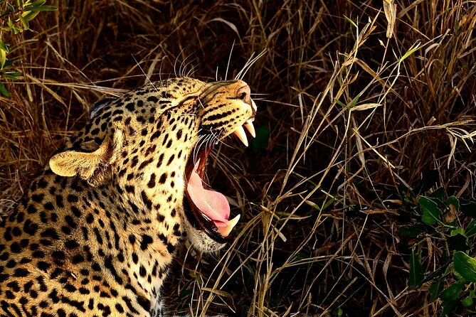 Hluhluwe Imfolozi & Dumazulu Cultural Village Tour From Durban