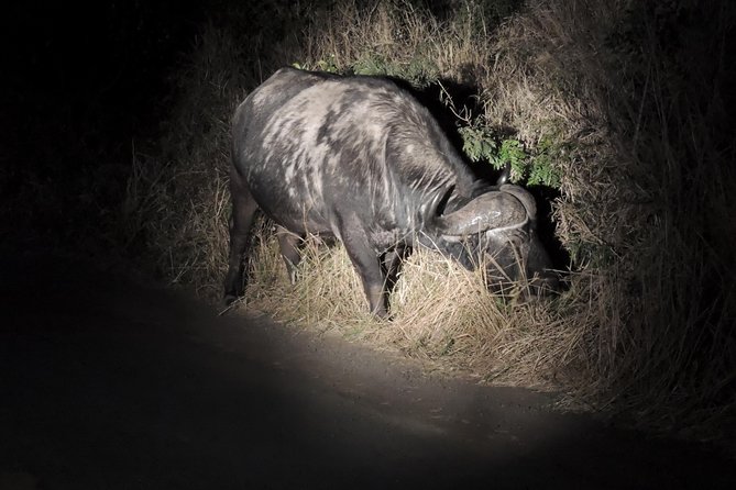 Hluhluwe/iMfolozi Game Reserve Full Day Game Drive