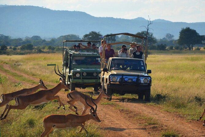 Hluhluwe Imfolozi Game Reserve & Phezulu Culture 2 Day Combo Tour From Durban - Good To Know