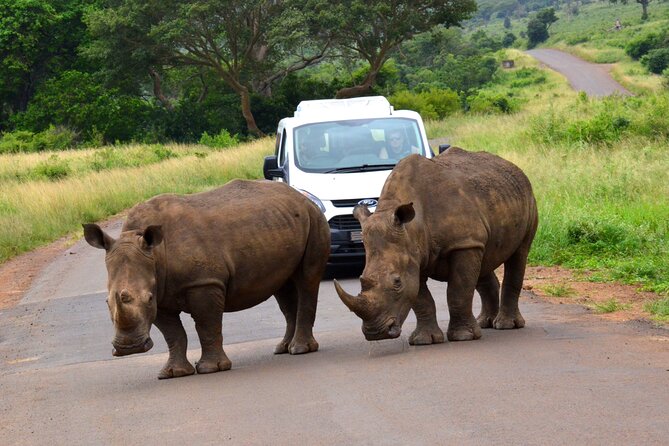 Hluhluwe Imfolozi Safari Day Tour From Durban