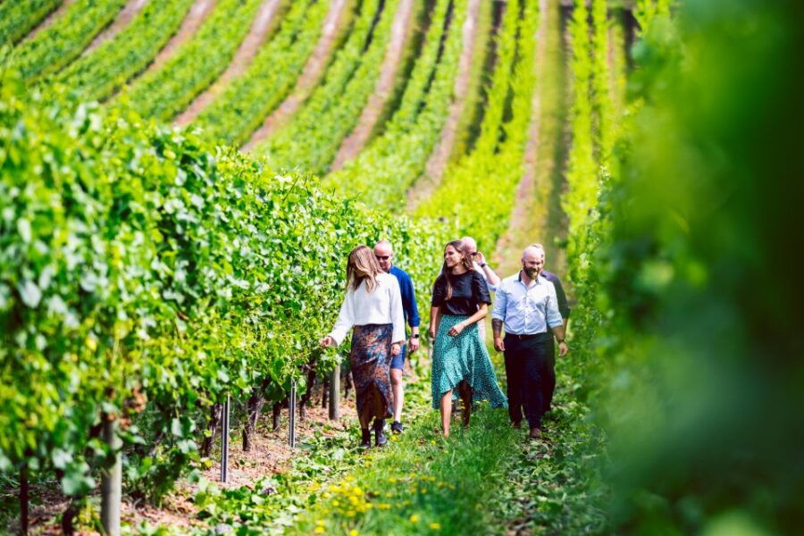 Hobart: Best of Tasmanian Wine Day Tour With Drink Tasmania