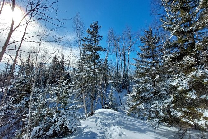 Hok Skiing. An Introduction. (Two Harbors)
