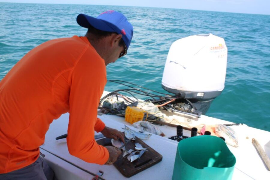 Holbox: Fishing and Sightseeing Boat Trip - Experience Highlights
