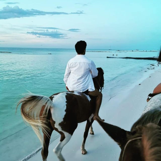 Holbox: Guided Horseback Ride on the Beach - Good To Know