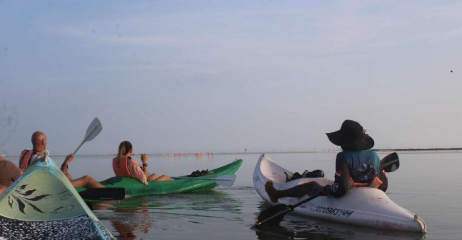 Holbox: Guided Sunrise Kayak Tour Through Mangrove Reserve - Good To Know