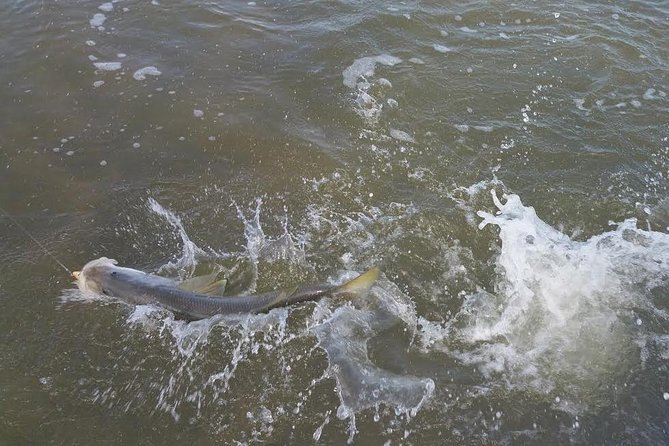 Holiday Inshore Fishing Charters - Good To Know