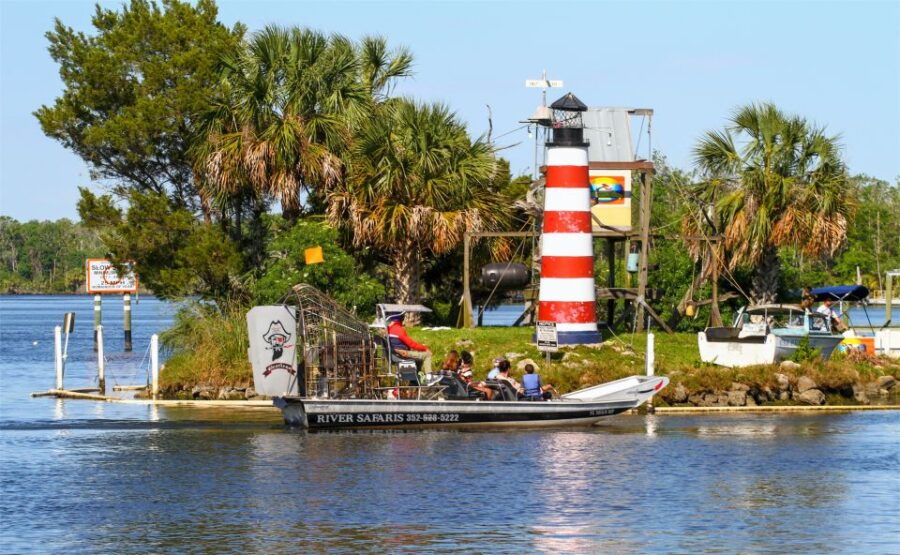 Homosassa: Gulf of Mexico Airboat Ride and Dolphin Watching