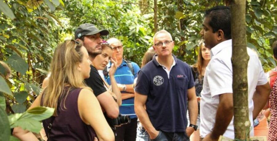 Honeymoon Journey: A Week Immersed in Culture - Good To Know