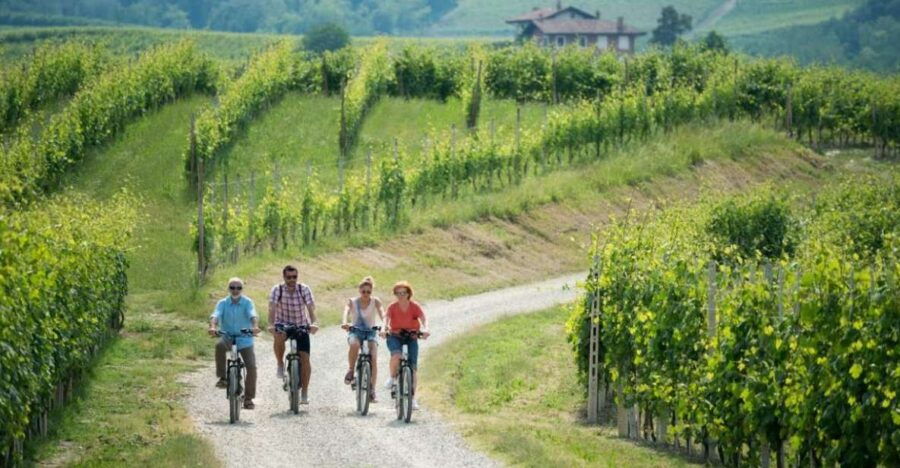 Hood River: All-Day E-Bike Rental