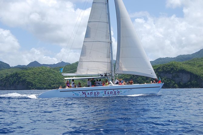 Hop & Drop Soufriere Transfer For Cruise Ship Passengers