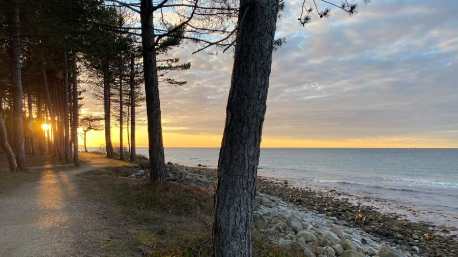 Hornbæk: Kayak Rental With Delivery at Agreed Location