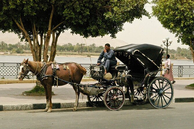 Horse Carriage City Tour in Luxor City With Meal and Soft Drink