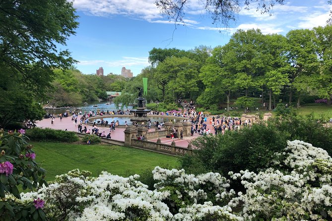Horse Carriage Ride To/From Tavern on the Green (Up to 4 Adults) - Good To Know