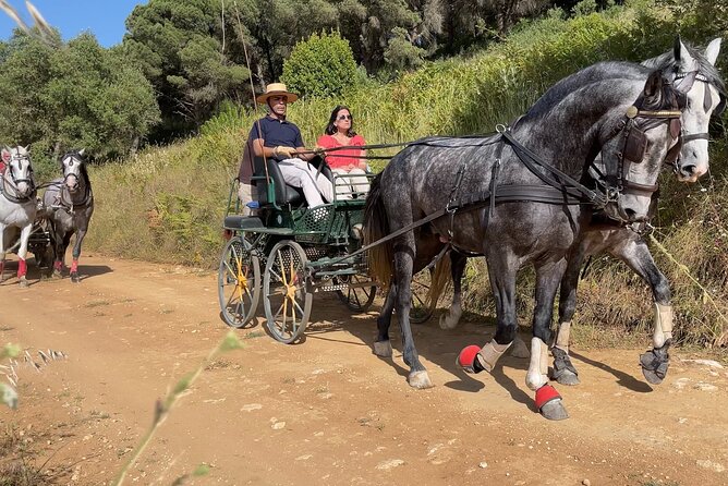 Horse Carriage Tour on the Mountain in Palmela - Good To Know