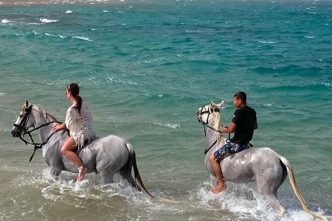 Horse Ride Adventure in Hurghada With Pickup - Good To Know