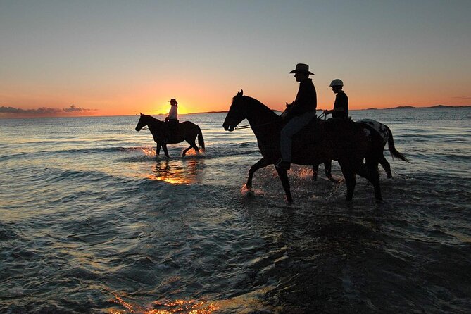 Horse Ride Trip 2 Hour, Bedouin Dinner And Show - Sharm El Sheikh - Good To Know