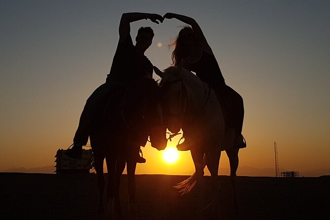 Horse Riding 1-Hour Adventure Trip With Transfer - Hurghada