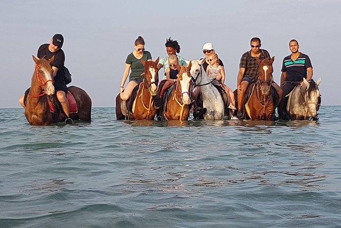 Horse Riding 3 Hours Beach, Desert, & Swimming by Horse in Red Sea - Hurghada - Good To Know