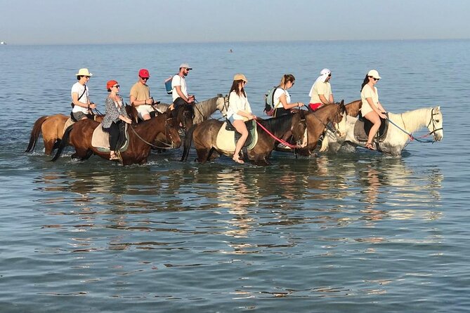 Horse Riding 3 Hours Desert Beach Swimming by Horse in Hurghada - Good To Know