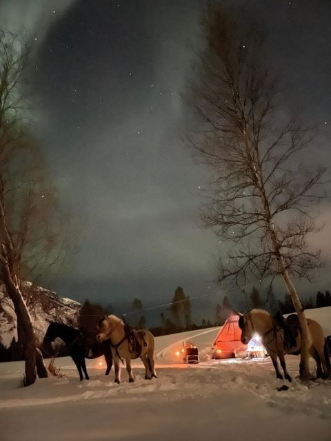Horse Riding and Dining Experience - Good To Know
