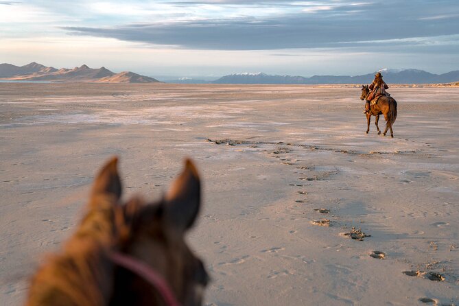 Horse Riding at Hurghada Desert - Good To Know