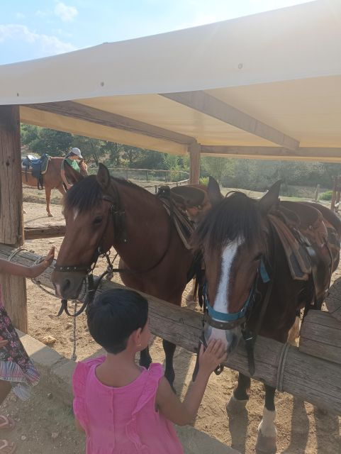 Horse Riding in a Farm - Good To Know