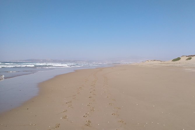 Horse Riding in Agadir National Park - Activity Overview