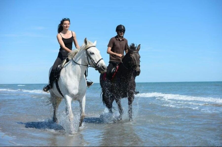 Horse Riding in Paros Island - Good To Know