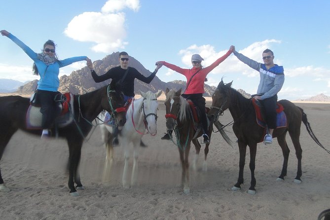 Horse Riding in Sharm El Sheikh Desert