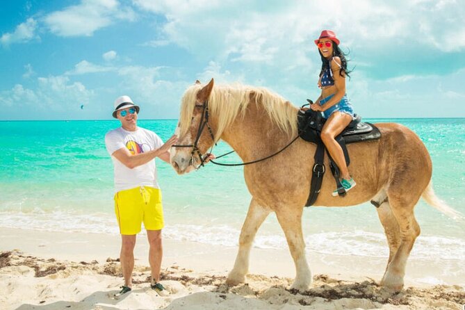 Horse Riding on the Beach From Sharm El Sheikh - Good To Know