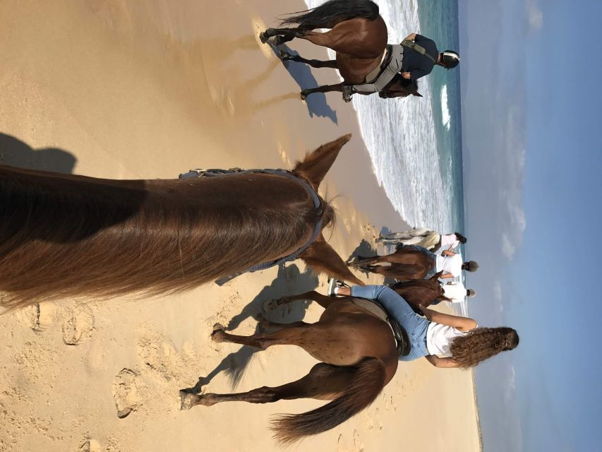 Horse Riding on the Beach With Private Transfer From Lisbon - Good To Know
