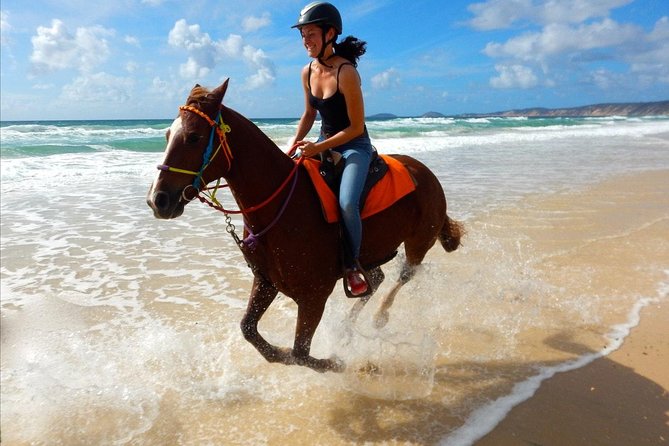Horse Riding Tour 2 Hours Sea and Desert With Transfer - Hurghada - Good To Know