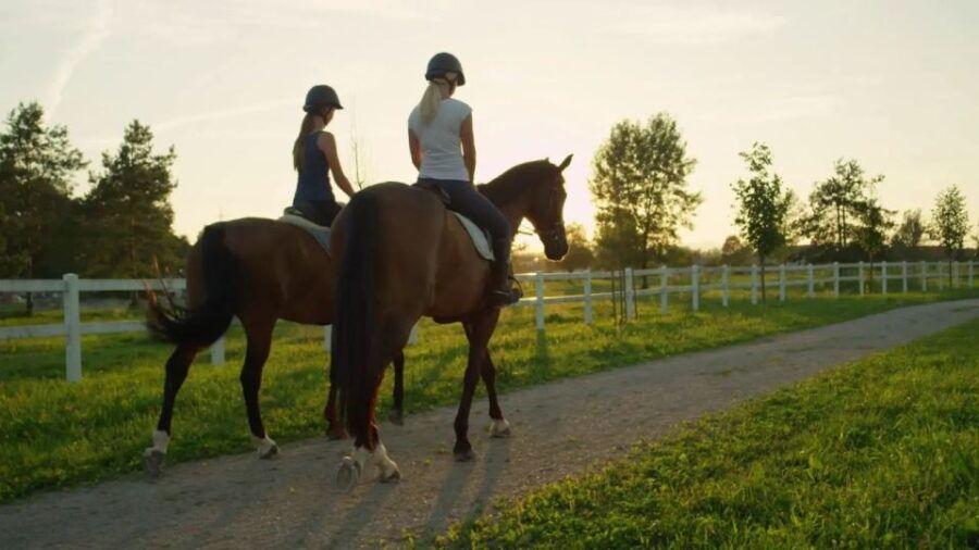 Horse Riding Tour in Alanya - Good To Know